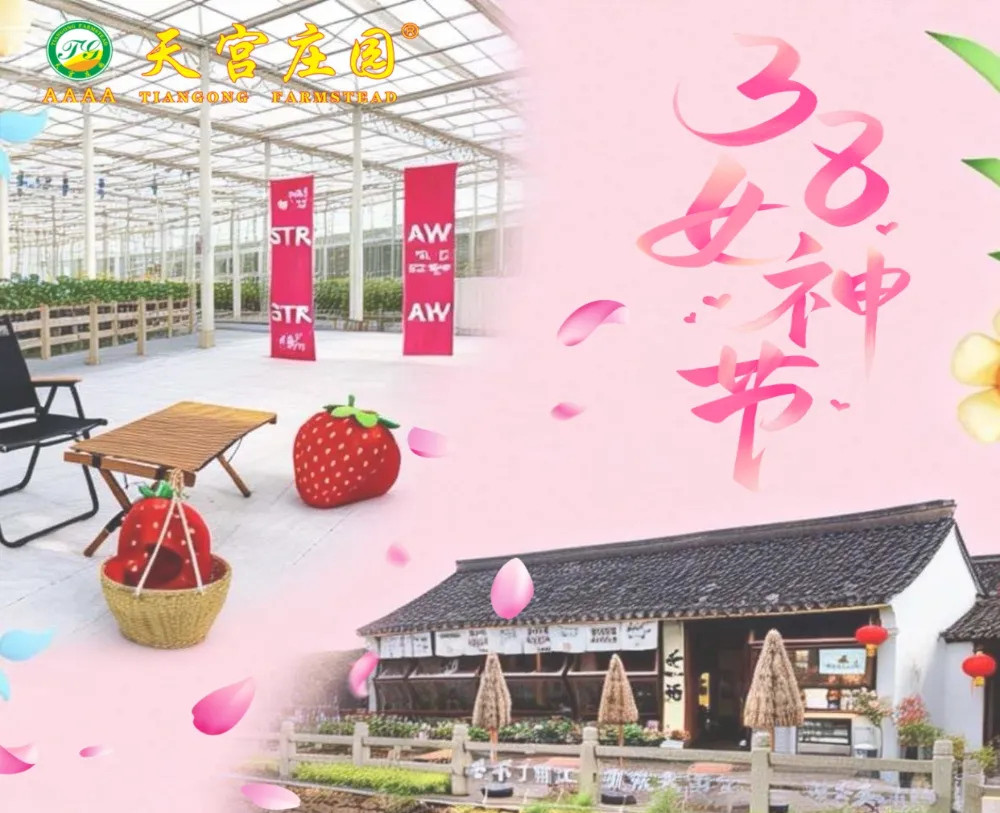 38·Sunny——Tiangong Manor’s special theme activities